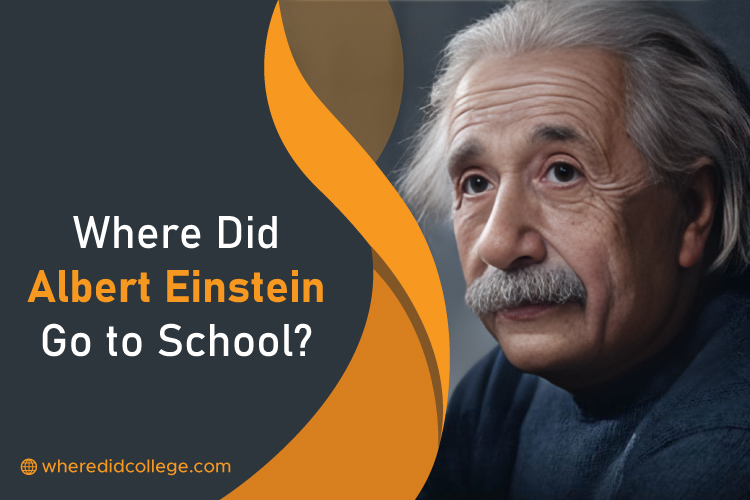 Where Did Albert Einstein Go to School? Path to Success